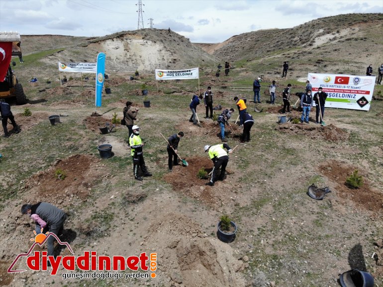 şehit AĞRI meslektaşlarının - anısına fidan Polisler dikti 5