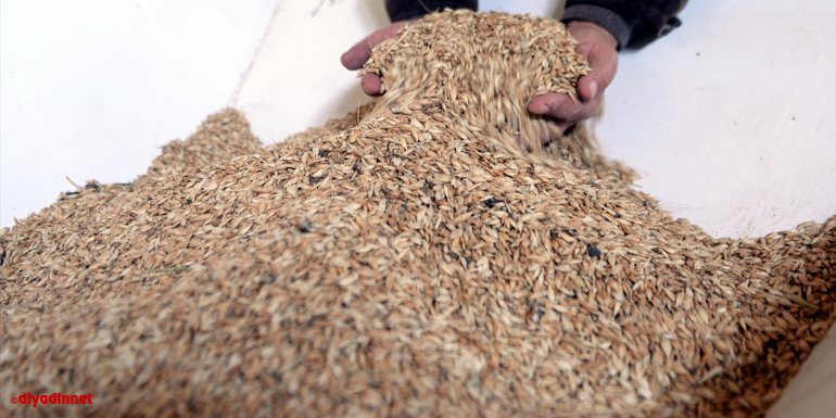 Ata tohumuna sahip çıkan Ardahanlı çiftçi devlet desteğiyle tesis kurdu