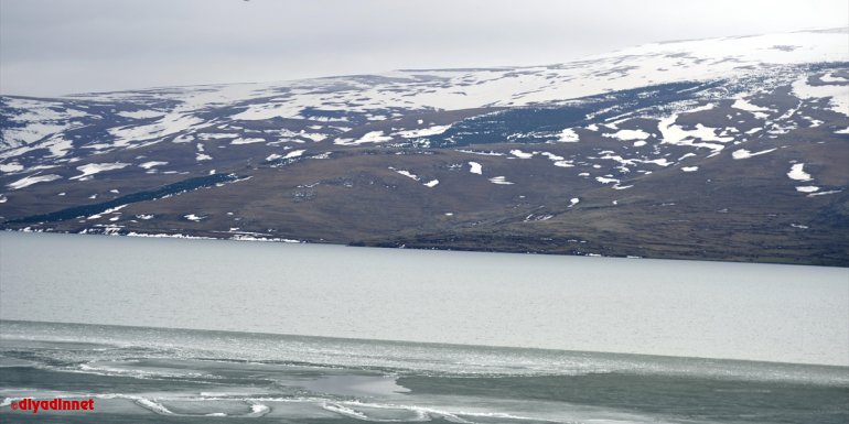 Çıldır Gölü'nü kaplayan buz, bahar mevsimiyle erimeye başladı