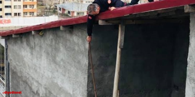 Bingöl'de ipe takılan güvercini itfaiye kurtardı