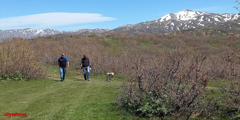 Bingöl'de kaybolan yaşlı adamı arama çalışmaları devam ediyor