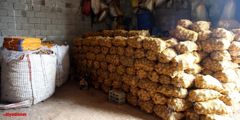 BİTLİS - Ahlatlı patates üreticileri destek bekliyor1