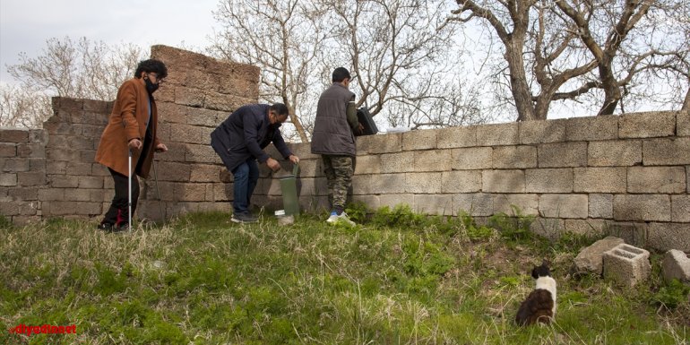 Bitlis'te bedensel engelli genç ramazan ayında da sokak hayvanlarını unutmadı