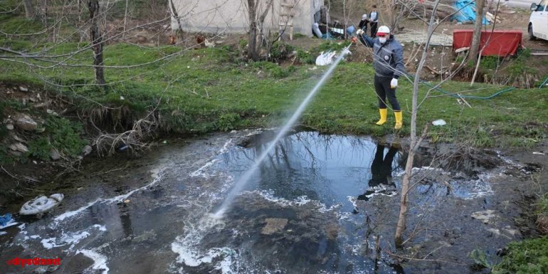 Bitlis Belediyesinden haşere ilaçlama çalışması