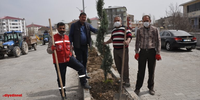 Bulanık Belediyesinden ağaçlandırma çalışması