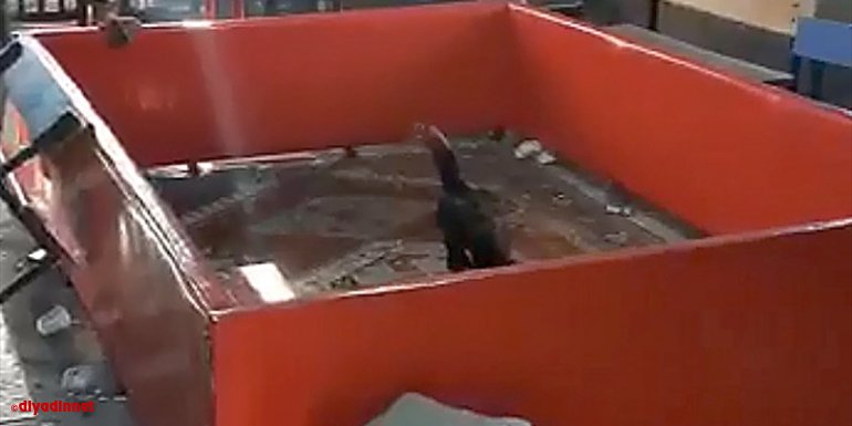 Elazığ'da bağ evinde horoz dövüştüren 27 kişi suçüstü yakalandı