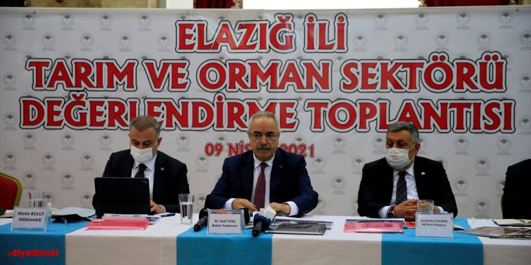 ELAZIĞ - Bakan Yardımcısı Tunç, Tarım ve Orman Sektörü Değerlendirme Toplantısı