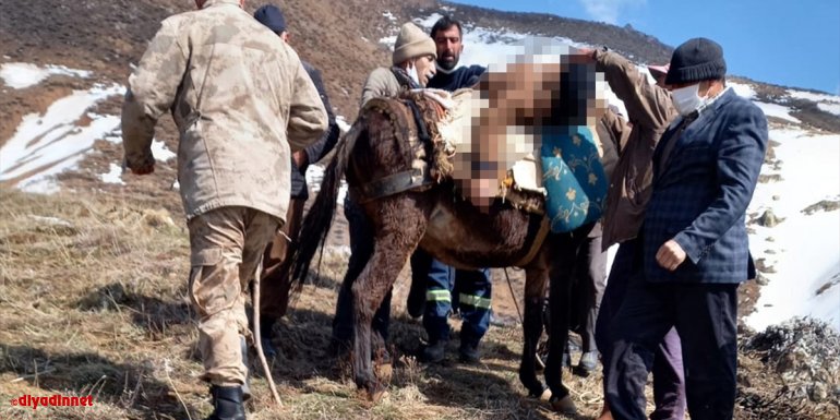 Elazığ'da keklik avlamaya giden kişi dağda ölü bulundu