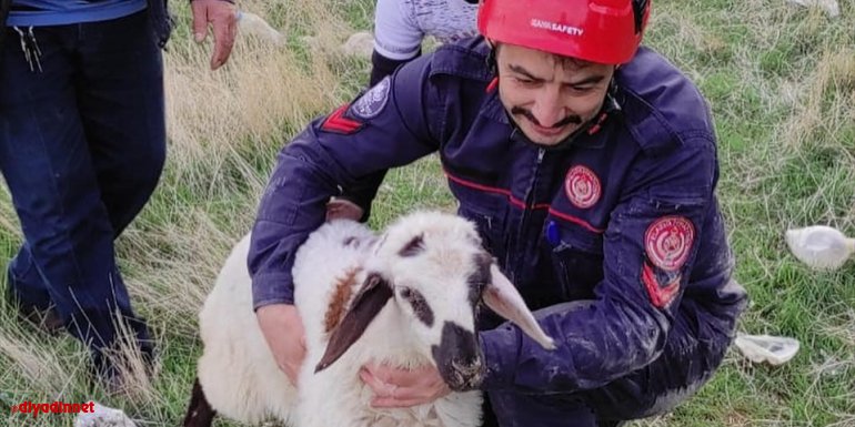 Elazığ'da kuyuya düşen kuzu itfaiye ekiplerince kurtarıldı