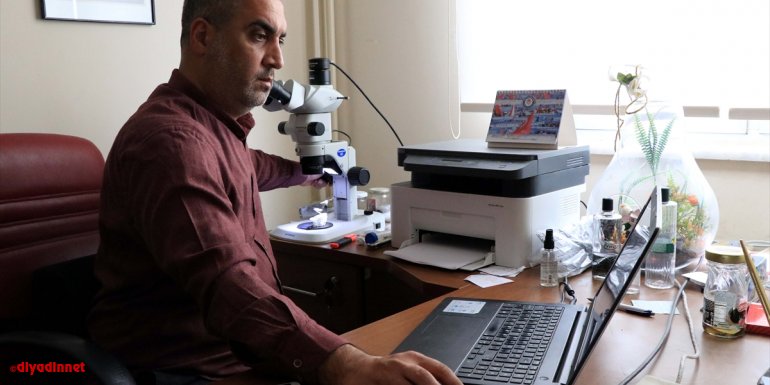 Huzura kavuşan dağlarda böceklerin izini süren akademisyen yeni türler tespit ediyor