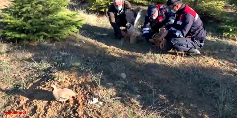 Elazığ'da tuzakla keklik avlayan 2 kişi yakalandı