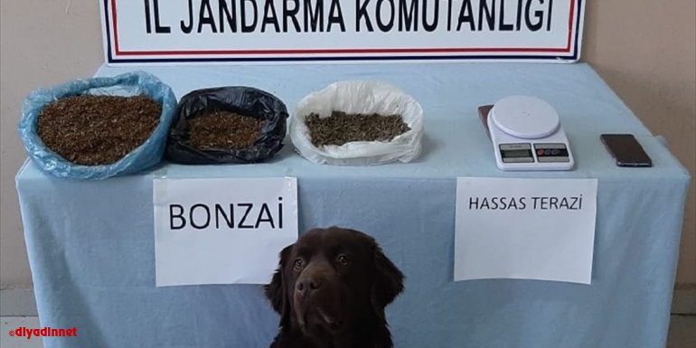 Erzurum'da uyuşturucu operasyonunda 3 şüpheli tutuklandı