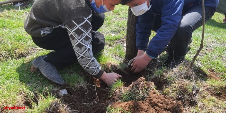 Güroymak'ta öğrenciler geri dönüştürülmüş saksılara tohum ekti
