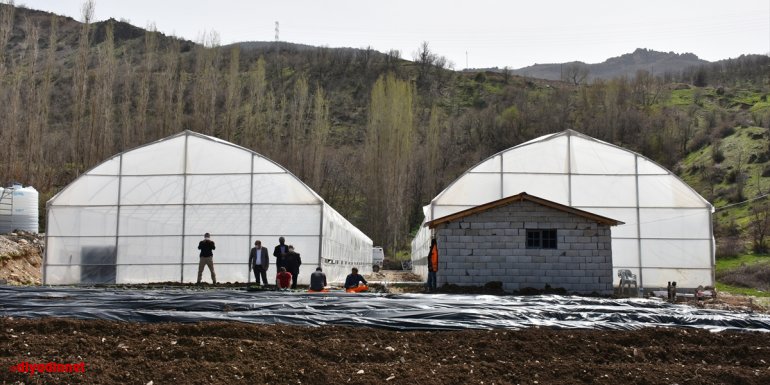 HAKKARİ - Tarımın gelişmesi için kurulan seralar çiftçilere esin kaynağı olacak1
