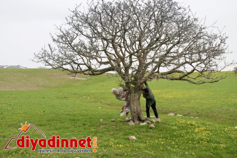 Hem çiçek topladılar hem karın tadını çıkardılar2