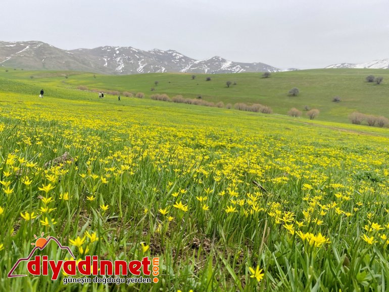 Hem çiçek topladılar hem karın tadını çıkardılar4