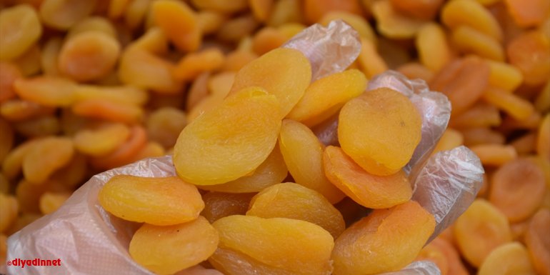 Malatya kayısısı 105 ülkede damakları tatlandırdı