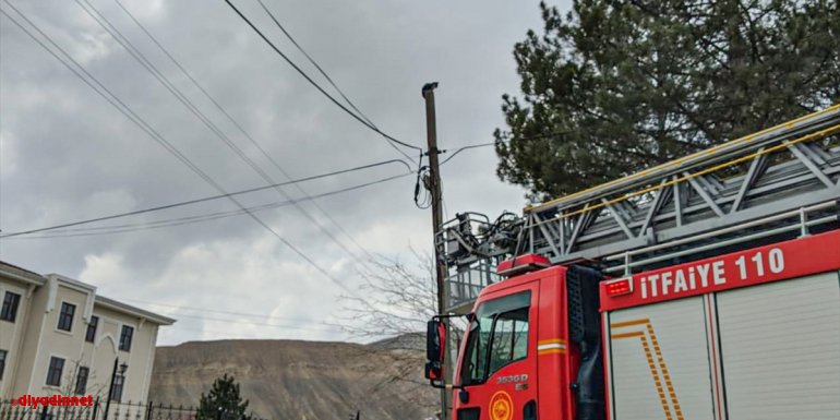 Malatya'da telefon direğinde mahsur kalan kedi itfaiye ekiplerince kurtarıldı