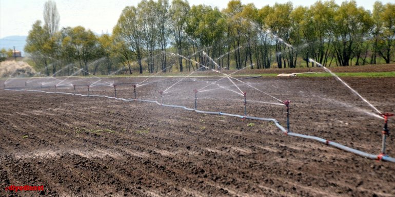 MUŞ - Yağışların istenilen seviyede olmaması çiftçileri düşündürüyor1