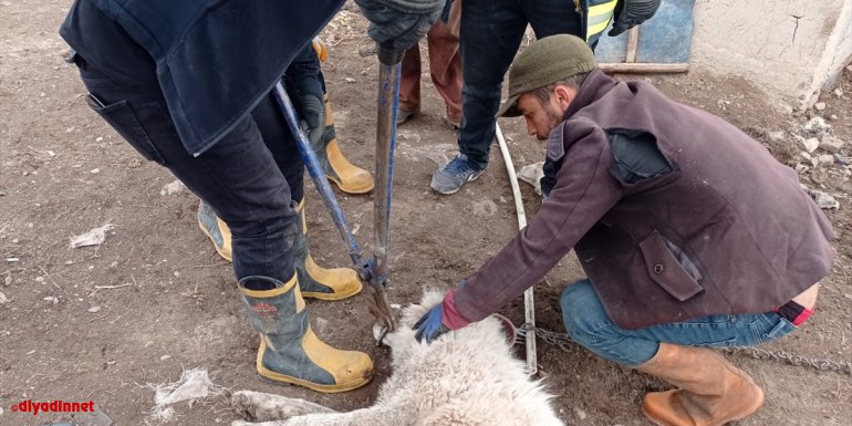 Özalp'ta ağzına çelik halka sıkışan çoban köpeği itfaiye ekiplerince kurtarıldı