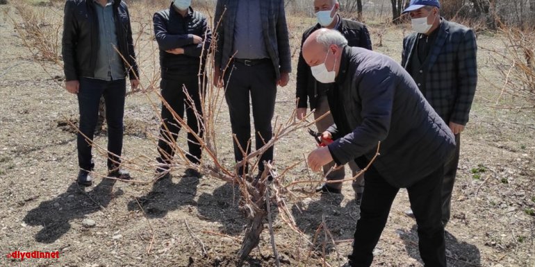Tuşba'da çiftçilere ağaç budama eğitimi verildi