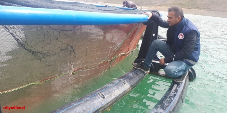 Van'da alabalık tesisleri denetlendi