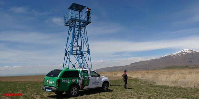 Van'da kaçak avlanılan 3 ton inci kefali göle geri bırakıldı