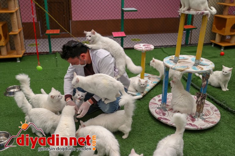 yavrularını ilk - 2021