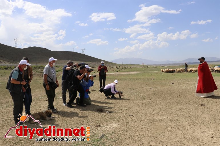 AĞRI Safari Ulusal fotoğraf ilgi Yarışması