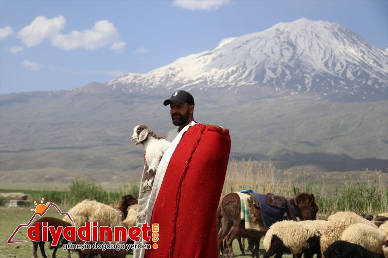 Safari Ulusal fotoğraf - ilgi yoğun Foto tutkunları Yarışması