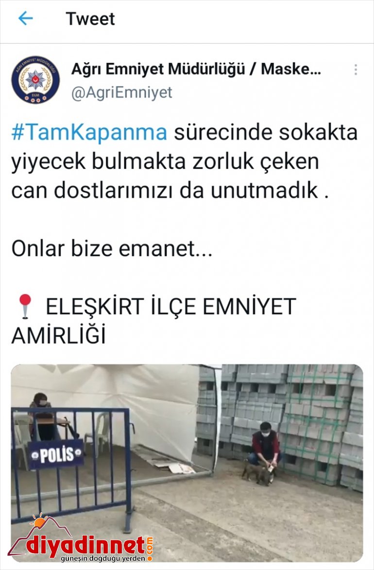 sütle - gelen AĞRI memuru Polis besledi köpekleri kontrol yavru noktasına 4