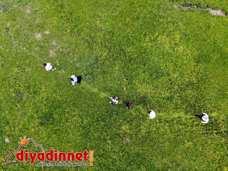 AĞRI kırsaldaki seferberliği vakaları düşürdü mutlu - hem hem aşı etti Sağlıkçıların vatandaşı 5