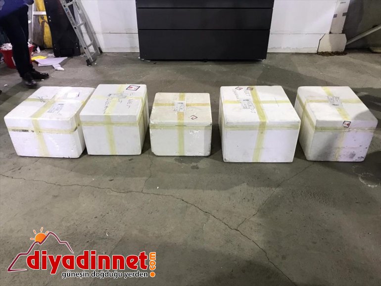 Ağrı'da bir kargo aracında 40 kilo 304 gram eroin ele geçirildi