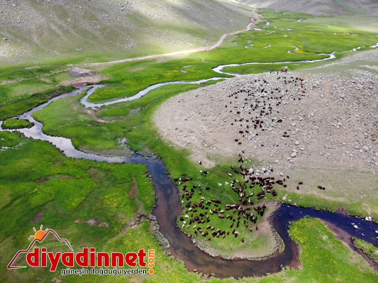 göçerlerin Yaylası Ağrı