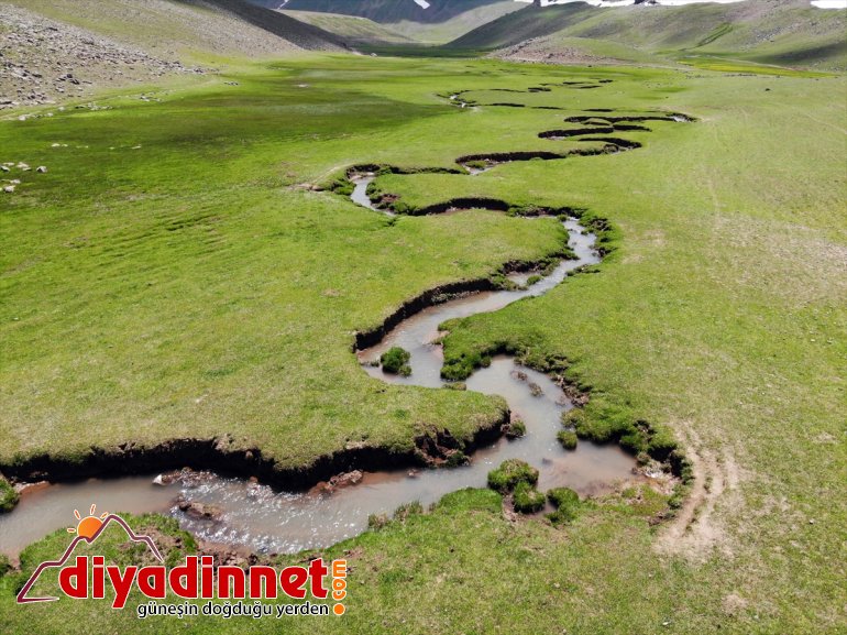 Ağrı'nın volkanik platoları üzerinde oluşan menderesler bölgeye ayrı bir güzellik katıyor