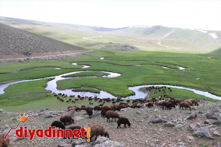 oluşan bir güzellik katıyor platoları volkanik menderesler bölgeye Ağrı