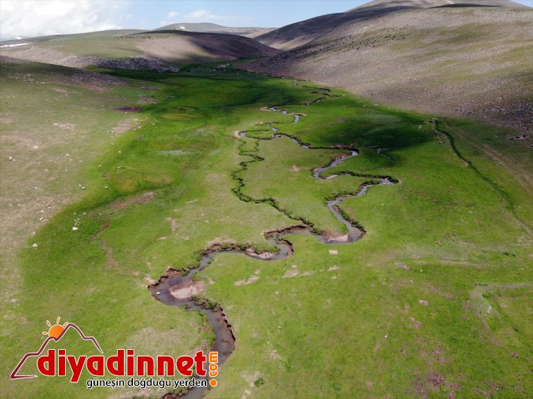 katıyor volkanik platoları Ağrı