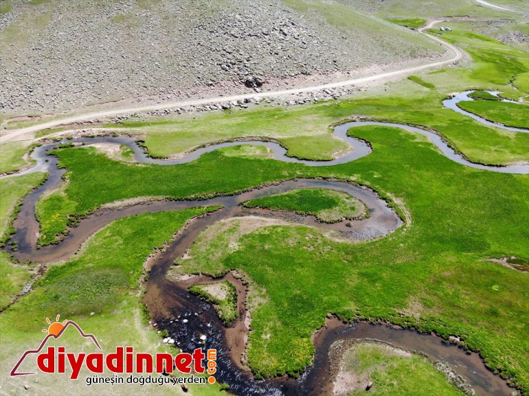bölgeye ayrı oluşan bir katıyor menderesler üzerinde Ağrı