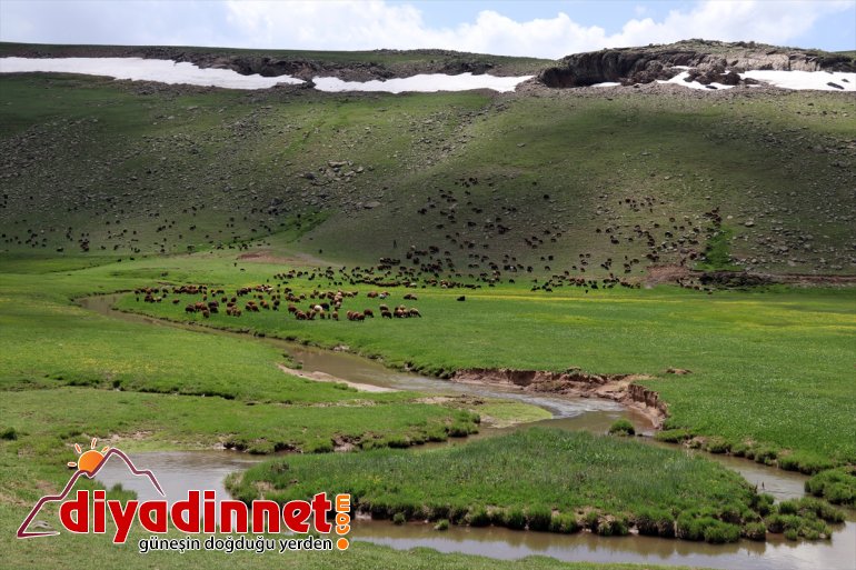 bölgeye üzerinde volkanik güzellik katıyor Ağrı