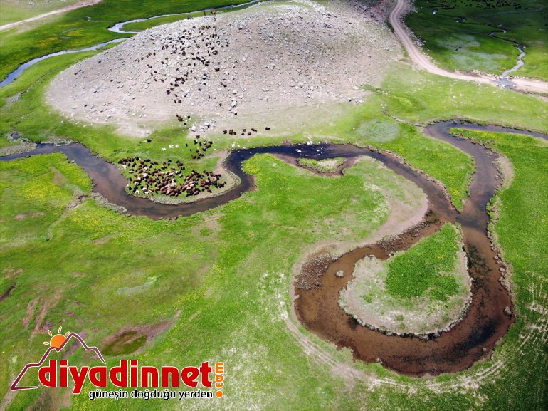 üzerinde platoları Ağrı