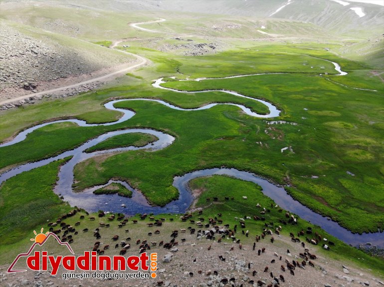 platoları bir ayrı oluşan menderesler bölgeye volkanik üzerinde Ağrı