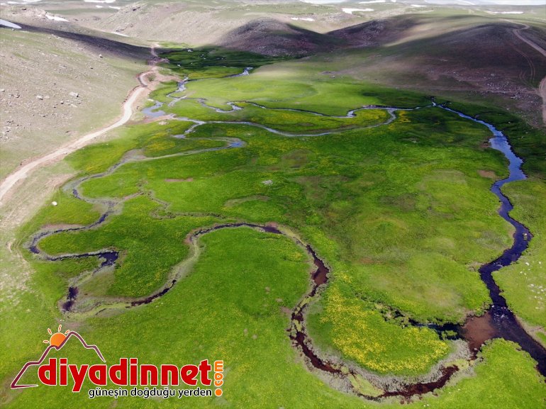 güzellik ayrı volkanik platoları oluşan bölgeye katıyor bir Ağrı