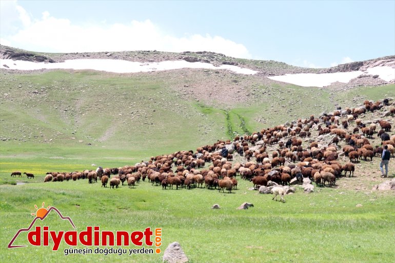 oluşan güzellik volkanik menderesler katıyor ayrı üzerinde bir Ağrı