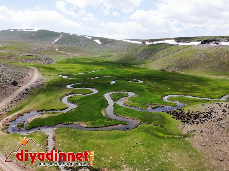 katıyor menderesler volkanik üzerinde ayrı oluşan platoları Ağrı