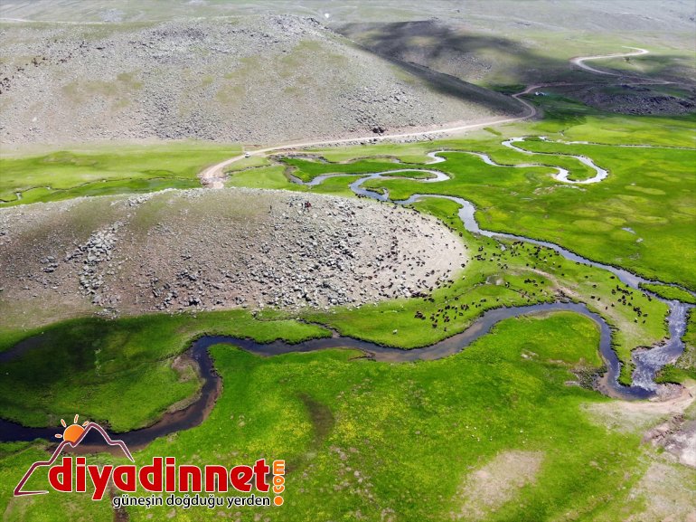 üzerinde katıyor ayrı menderesler oluşan bölgeye Ağrı