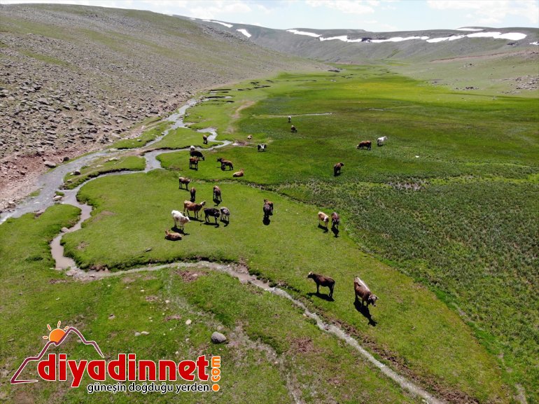 bir menderesler bölgeye ayrı volkanik Ağrı