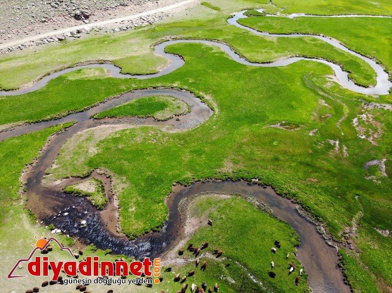 volkanik bir güzellik bölgeye Ağrı