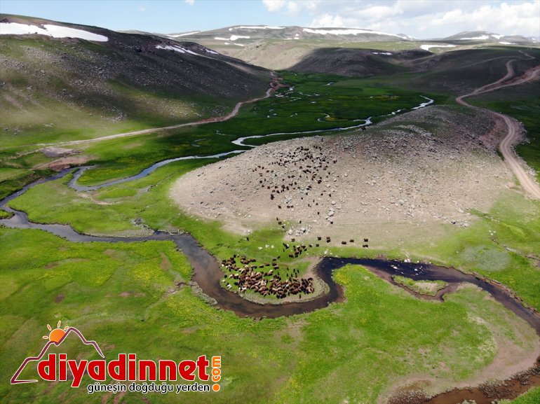 güzellik katıyor volkanik oluşan bölgeye platoları üzerinde ayrı menderesler bir Ağrı