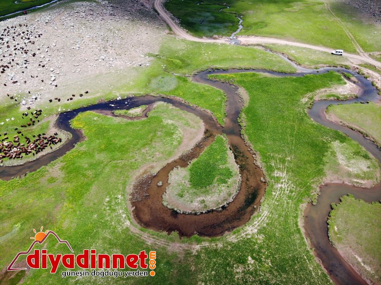 ayrı katıyor Ağrı