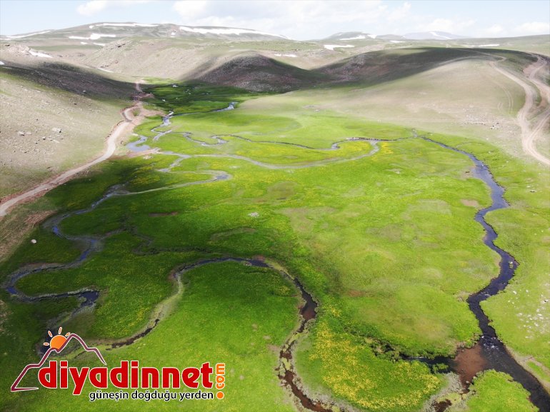 menderesler ayrı bölgeye katıyor oluşan güzellik Ağrı